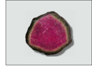 Watermelon Tourmaline